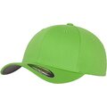 Flexfit Fitted Baseball Cap Fresh Green