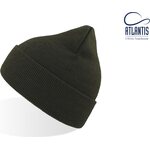Atlantis Eko Beanie -pipo Forest Green