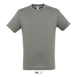 Sol's Regent colours T-paita Zinc