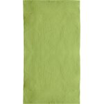 Jassz Rhine käsipyyhe 50x100cm Bright Green