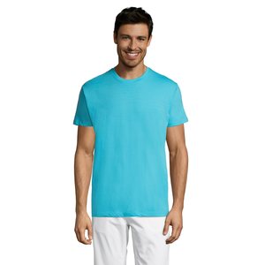 Sol's Regent colours T-paita